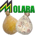 front-molara